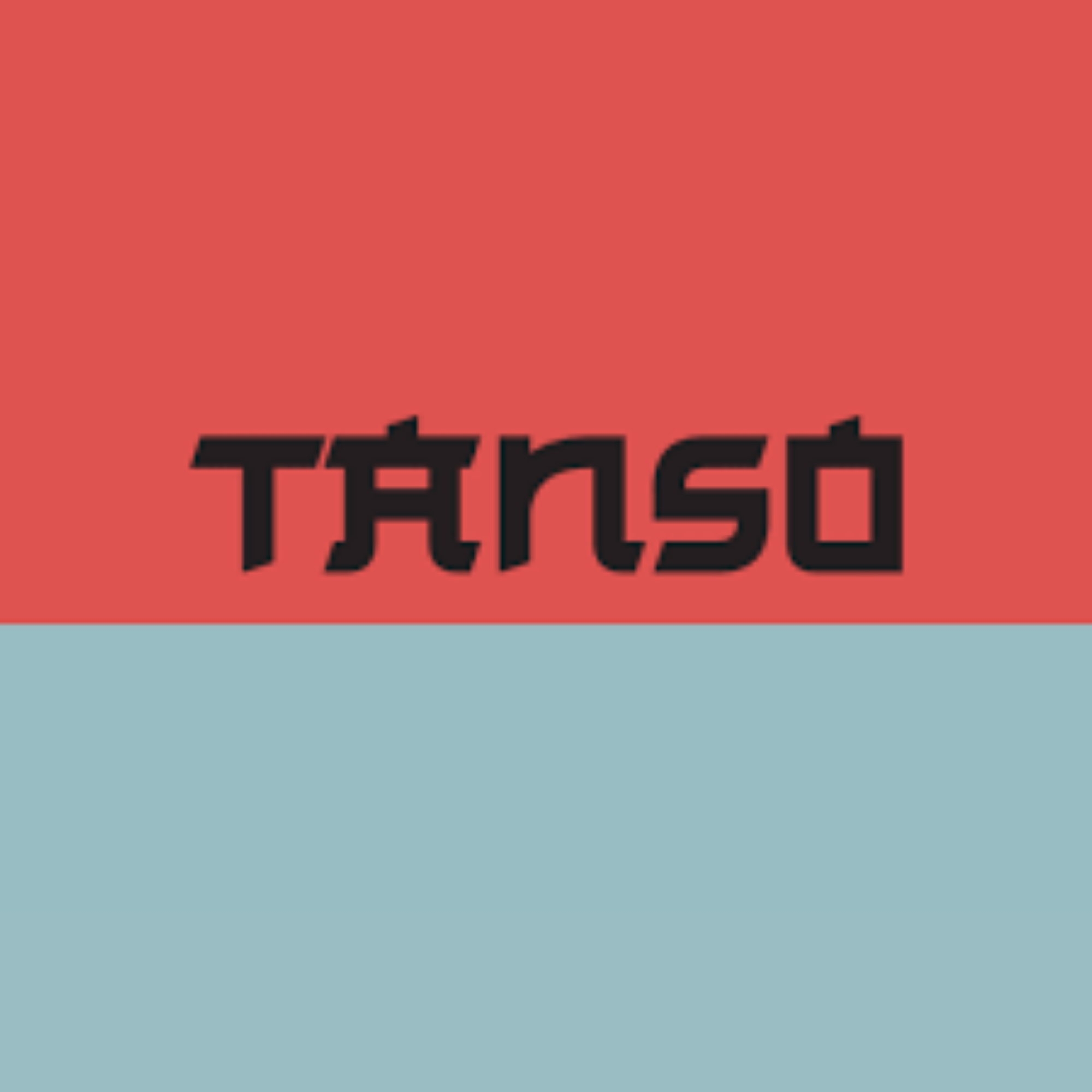 Partner Logo